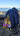 W.E.Kiwi and K.B.Kiwi mini kiwi plushies attached to a blue bagpack on the beach in New Zealand 